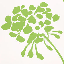 Load image into Gallery viewer, Schumacher Pennick Wallpaper 5010542 / Leaf On Ivory