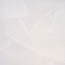 Load image into Gallery viewer, Schumacher Hand Combed Plaster Wallpaper 5013953 / Birch