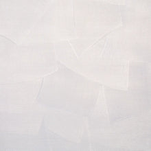 Load image into Gallery viewer, Schumacher Hand Combed Plaster Wallpaper 5013953 / Birch