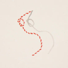 Load image into Gallery viewer, Schumacher Butcher String Wallpaper 5014470 / Red And White On Ivory