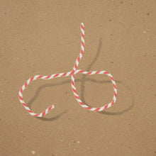 Load image into Gallery viewer, Schumacher Butcher String Wallpaper 5014471 / Red And White On Brown