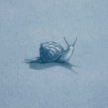 Load image into Gallery viewer, Schumacher Ouvrez Moi Wallpaper 5014510 / Blue