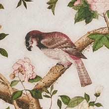 Load image into Gallery viewer, Schumacher Les Oiseaux Panel Set Wallpaper 5015151 / Ivory