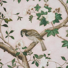 Load image into Gallery viewer, Schumacher Les Oiseaux Panel Set Wallpaper 5015154 / Blush