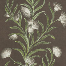 Load image into Gallery viewer, Schumacher Tasmanian Mimosa Wallpaper 5015361 / Brown &amp; Green