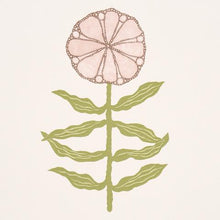 Load image into Gallery viewer, Schumacher Pretty Petals Wallpaper 5015451 / Blush