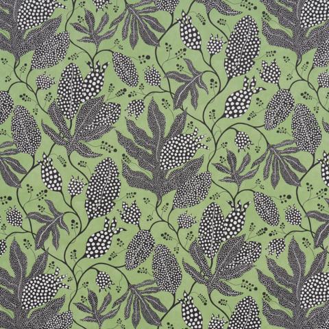 Schumacher Polka Dot Jungle Wallpaper 5015460 / Black & Green