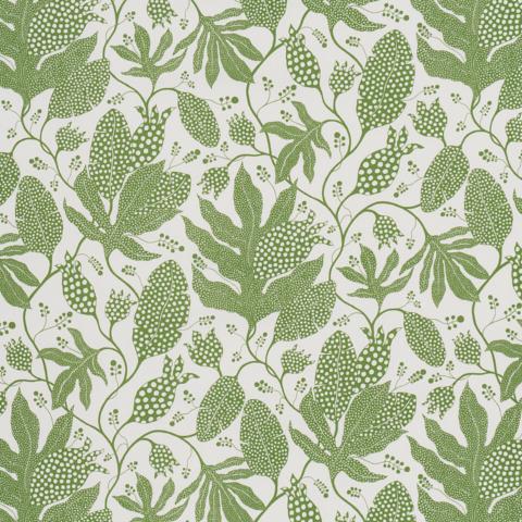 Schumacher Polka Dot Jungle Wallpaper 5015463 / Green & Ivory