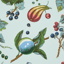 Load image into Gallery viewer, Schumacher Berry Grove Wallpaper 5015651 / Sky