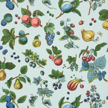 Load image into Gallery viewer, Schumacher Berry Grove Wallpaper 5015651 / Sky