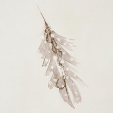 Load image into Gallery viewer, Schumacher Woodland Feathers Wallpaper 5016060 / Pebble