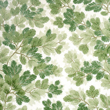 Load image into Gallery viewer, Schumacher Covey Hedge Wallpaper 5016072 / Sage