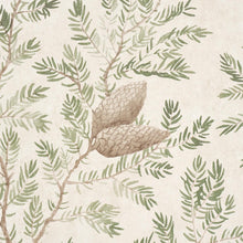 Load image into Gallery viewer, Schumacher Pinewood Wallpaper 5016090 / Spruce