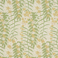 Load image into Gallery viewer, Schumacher Ashbee Botanical  Wallpaper 5016251 / Citron