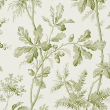 Load image into Gallery viewer, Schumacher Brantwood Vine Wallpaper 5016350 / Leaf