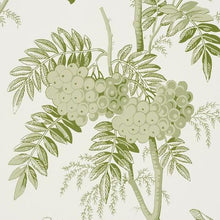 Load image into Gallery viewer, Schumacher Brantwood Vine Wallpaper 5016350 / Leaf
