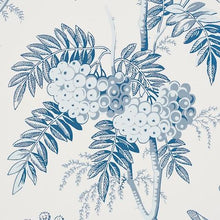 Load image into Gallery viewer, Schumacher Brantwood Vine Wallpaper 5016351 / Porcelain