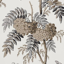 Load image into Gallery viewer, Schumacher Brantwood Vine Wallpaper 5016352 / Graphite