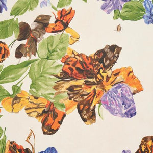 Schumacher Pyne Butterfly Wallpaper 5016380 / Monarch Orange