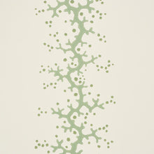 Load image into Gallery viewer, Schumacher Coral Stripe Wallpaper 5016452 / Green
