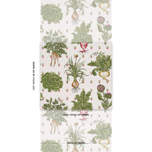 Load image into Gallery viewer, Schumacher Green Grocer Wallpaper 5016780 / Multi