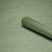 Load image into Gallery viewer, Schumacher Haruki Sisal Wallpaper 5016854 / Drive-Thru Safari