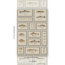 Load image into Gallery viewer, Schumacher Jamie&#39;s Trophies Sisal Wallpaper 5017002 / Sky