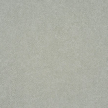 Load image into Gallery viewer, Schumacher Dunbar Shagreen Vinyl Wallpaper 5017261 / Haze