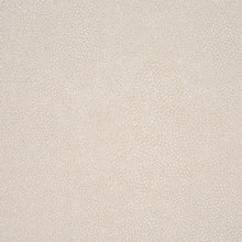 Load image into Gallery viewer, Schumacher Dunbar Shagreen Vinyl Wallpaper 5017264 / Alabaster