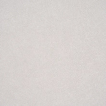 Load image into Gallery viewer, Schumacher Dunbar Shagreen Vinyl Wallpaper 5017265 / Pearl