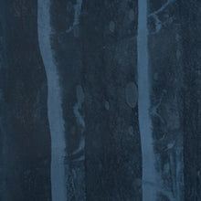 Load image into Gallery viewer, Schumacher Alden Organic Plaster Wallcoveringlpaper 5017421 /  Deep Sea