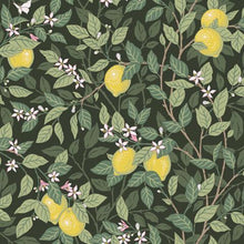 Load image into Gallery viewer, Schumacher Citronträd Wallpaper 5701 / Green
