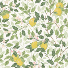 Load image into Gallery viewer, Schumacher Citronträd Wallpaper 5702 / Ivory And Leaf