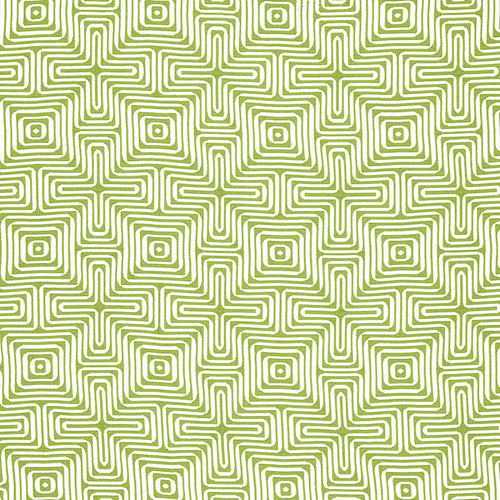 Schumacher Amazing Maze Indoor/Outdoor Fabric 65321 / Palm