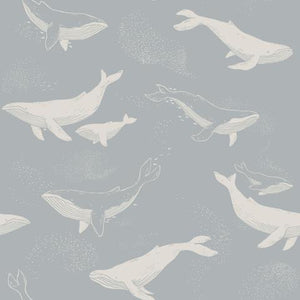 Schumacher Whales Wallpaper 6942 / Slate