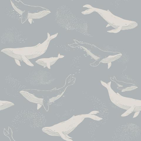 Schumacher Whales Wallpaper 6942 / Slate