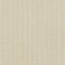 Load image into Gallery viewer, Schumacher Antique Strie Velvet Fabric 69740 / Oyster
