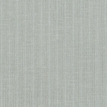 Load image into Gallery viewer, Schumacher Antique Strie Velvet Fabric 69748 / Ash