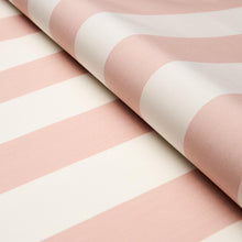 Load image into Gallery viewer, James Stripe