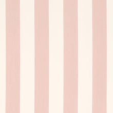 Load image into Gallery viewer, James Stripe