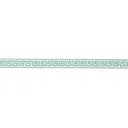Load image into Gallery viewer, Schumacher Ganton Tape Trim 72396 / Teal