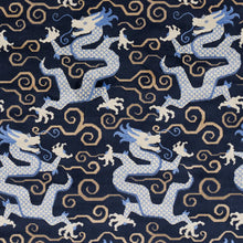 Load image into Gallery viewer, Schumacher Bixi Velvet Fabric Midnight Blue 73976