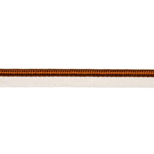 Load image into Gallery viewer, Schumacher Gustave Silk Lip Cord Wide Trim 74579 / Spice