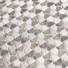 Load image into Gallery viewer, SCHUMACHER IVINS EMBROIDERY FABRIC 75123 / GREY
