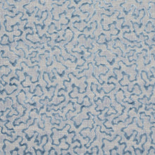 Load image into Gallery viewer, Janis Velvet