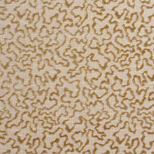 Load image into Gallery viewer, Janis Velvet