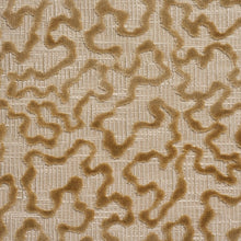 Load image into Gallery viewer, Janis Velvet