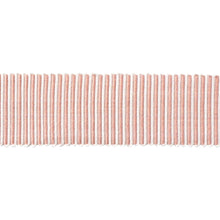 Load image into Gallery viewer, Schumacher Knox Tape Trim 75586 / Blush