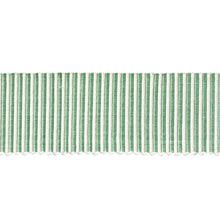 Load image into Gallery viewer, Schumacher Knox Tape Trim 75588 / Green