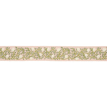 Load image into Gallery viewer, Schumacher Ashoka Tape Trim 76296 / Leaf &amp; Blush
